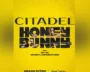 Russo Brothers Celebrate Citadel: Honey Bunny Critics Choice Awards Nom