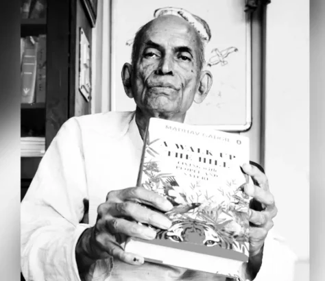 UN Gives Top Environmental Award To Madhav Gadgil