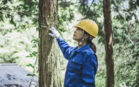 With Climate Change Intensifying, CA Begins Filling Forestry Jobs