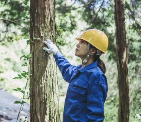 With Climate Change Intensifying, CA Begins Filling Forestry Jobs