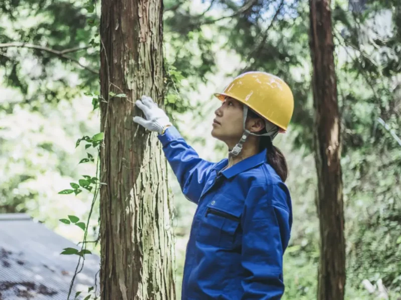 With Climate Change Intensifying, CA Begins Filling Forestry Jobs