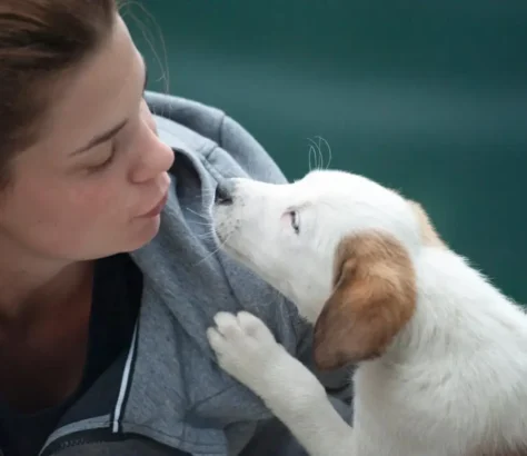 5 Things To Keep In Mind Before Getting A Pet