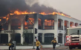 Climate-Change-Increased-Likelihood-Of-L.A.-Wildfires-Report-Finds.webp
