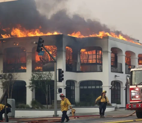 Climate-Change-Increased-Likelihood-Of-L.A.-Wildfires-Report-Finds.webp