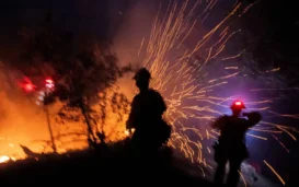 Indian American Institutions Reaching Out To Fire Victims