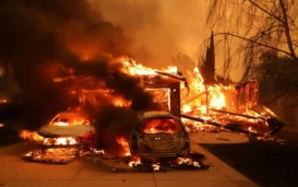 Wildfire Safety Tips And Resources