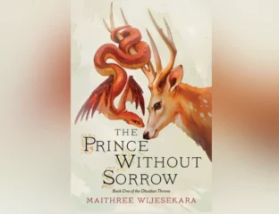 A Prince’s Struggle And A Witch’s Revenge in The Prince Without Sorrow