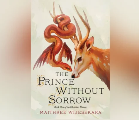 A Prince’s Struggle And A Witch’s Revenge in The Prince Without Sorrow