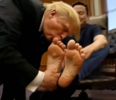 President Trump Kissing Musk’s Feet? Fake News!