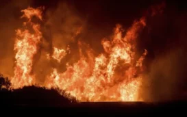 SoCal-Edison-Says-Its-Equipment-Might-Have-Caused-LA-Fires.webp