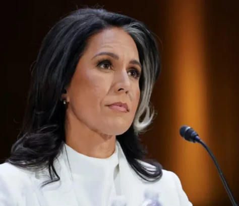 Tulsi Gabbard Fires Over 100 Intelligence Officers For Inappropriate Conduct