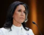 Tulsi Gabbard Fires Over 100 Intelligence Officers For Inappropriate Conduct