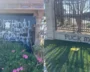 Vandals-Deface-BAPS-Hindu-Temple-In-Chino-Hills-CA-1.webp