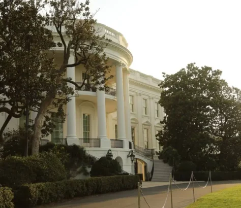White-House-To-Remove-200-Year-Old-Magnolia-Tree-Planted-In-Andrew-Jacksons-Era.webp