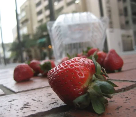 5-Second Rule Crushed In Bacteria-Packed Experiment