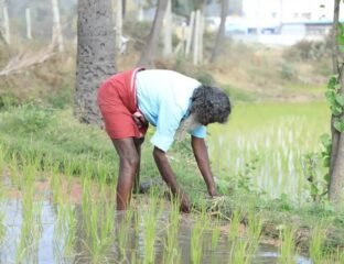 California’s Boomitra Leads First Soil Carbon Credit Issuance From Small Farms In India