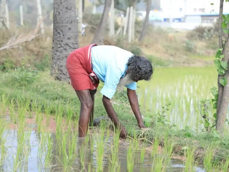 California’s Boomitra Leads First Soil Carbon Credit Issuance From Small Farms In India