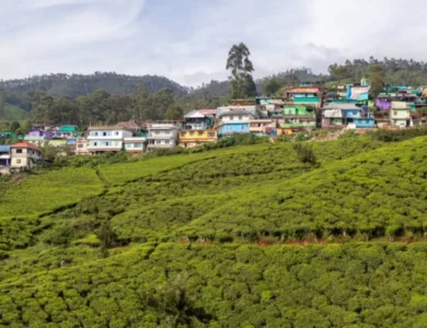 Consider These 5 Getaways In India This Summer