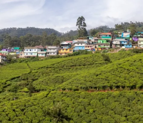 Consider These 5 Getaways In India This Summer