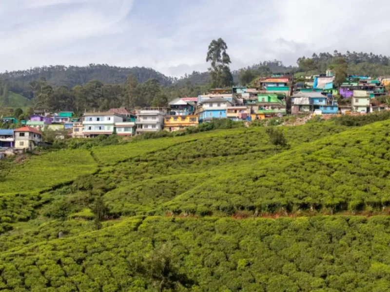 Consider These 5 Getaways In India This Summer