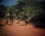India-US Forces Complete Land Training, Launch Sea Operations