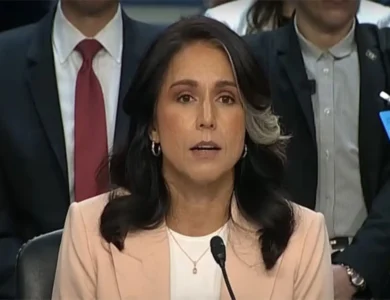 Is Tulsi Gabbard’s Task Force DIG Targeting Trump’s Foes?