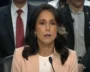 Is Tulsi Gabbard’s Task Force DIG Targeting Trump’s Foes?