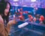 Monitor Your Home Aquarium As The Season Changes