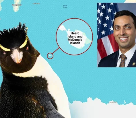 Rep.-Suhas-Subramanyam-Mocks-Trumps-Tariffs-On-Penguins.webp