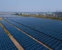 Solar Shakeup: U.S. Tariffs Aim To Protect Domestic Industry From China Dumping