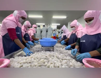 Trump Tariffs Could Sink The $7 Billion Indian Shrimp Industry