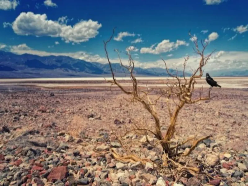 Climate-Conflict-Defunding-By-Trump-Drive-Record-Hunger-Levels-Says-UN.webp
