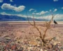 Climate-Conflict-Defunding-By-Trump-Drive-Record-Hunger-Levels-Says-UN.webp