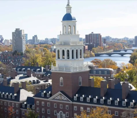 Harvard Vs Trump: Court Stops Ban, Hundreds Of Indian Students In Crossfire