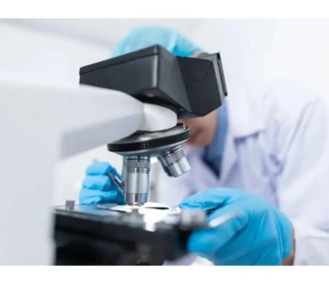 Healthy Carbs In Midlife Linked To Better Aging In Women