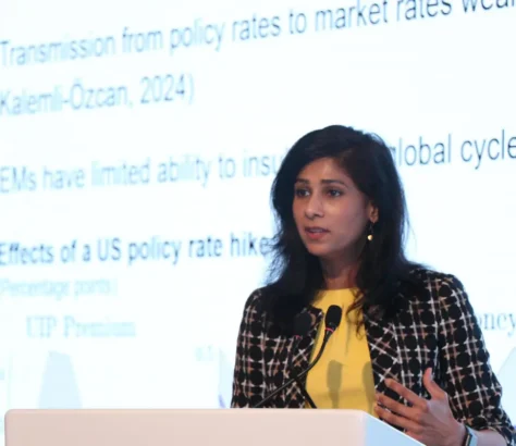 IMF's Gita Gopinath Urges US To Address Debt And Policy Uncertainty
