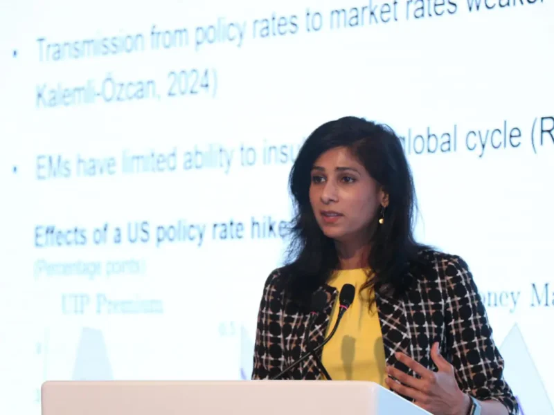 IMF's Gita Gopinath Urges US To Address Debt And Policy Uncertainty