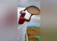 India Set For Record Rice And Wheat Harvests