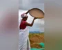 India Set For Record Rice And Wheat Harvests