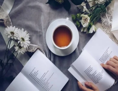 Literary Landscape: Discover Your Next Great Read
