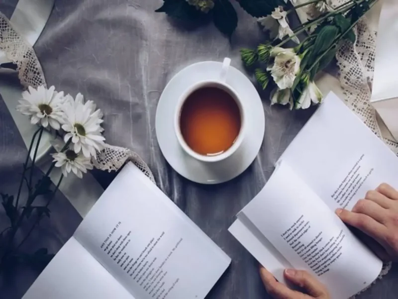 Literary Landscape: Discover Your Next Great Read