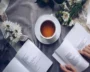 Literary Landscape: Discover Your Next Great Read