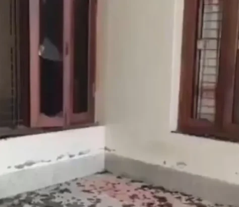 Tagore Home In Bangladesh Vandalized