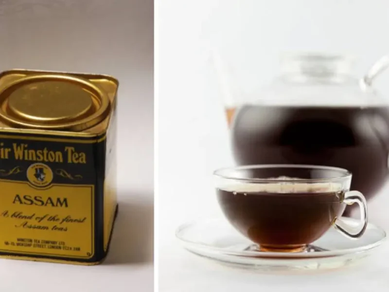 A Two Century Brew - Assam Tea Marks 200 Years With Showcase In New York