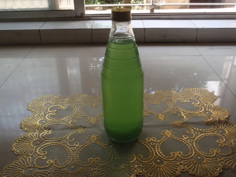 Green Mango Squash