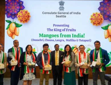 Indian Mangoes Spotlighted In Seattle For US Market Growth