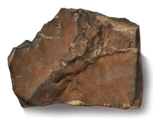 India’s Martian Meteorite Cousin Now The Star Of A $4 Million Auction