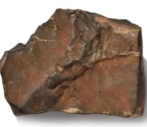 India’s Martian Meteorite Cousin Now The Star Of A $4 Million Auction