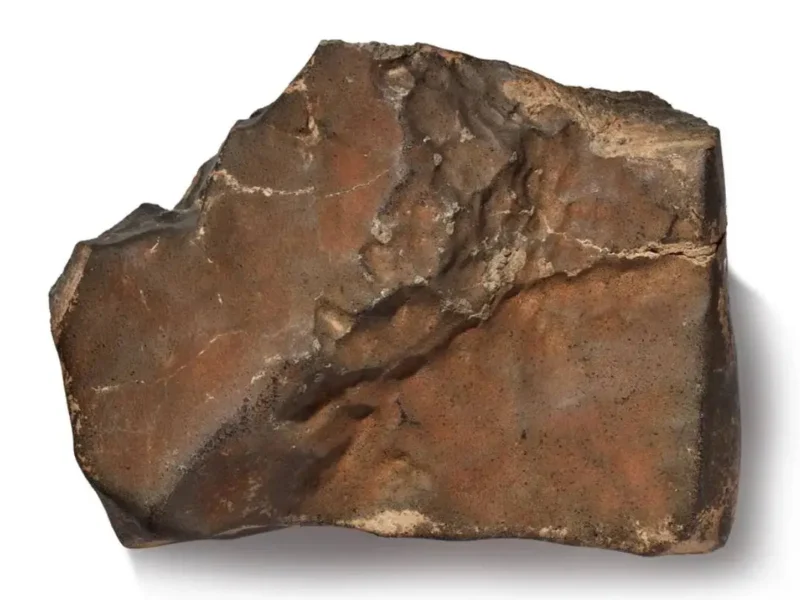 India’s Martian Meteorite Cousin Now The Star Of A $4 Million Auction
