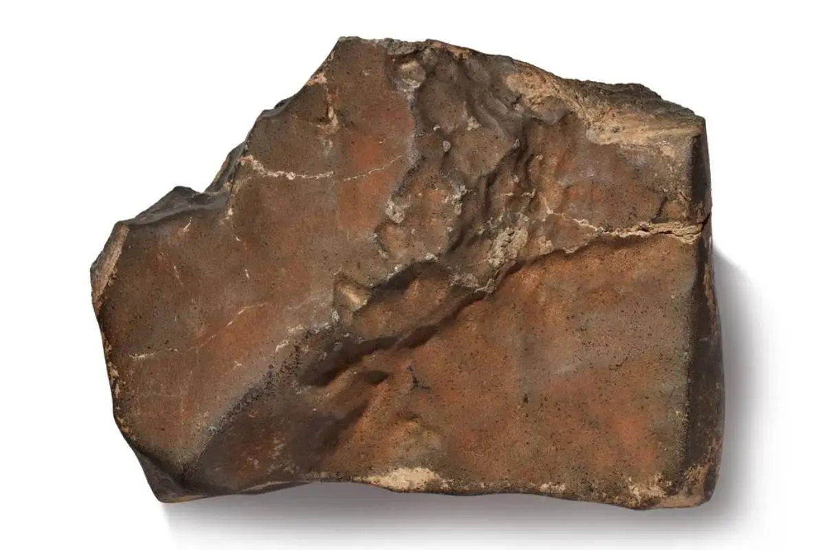 India’s Martian Meteorite Cousin Now The Star Of A $4 Million Auction